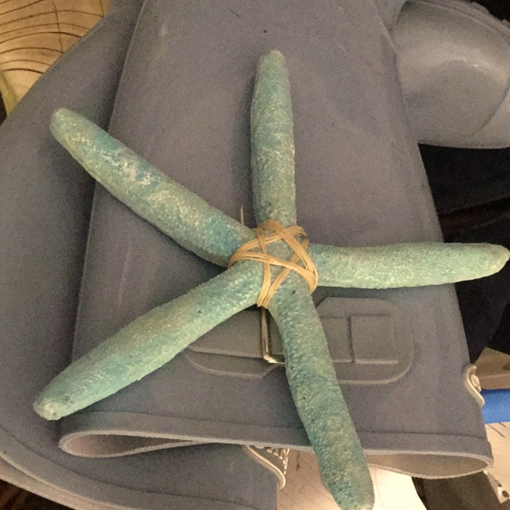 Starfish art decor farmhouse beach cabin Airbnb craft festival
